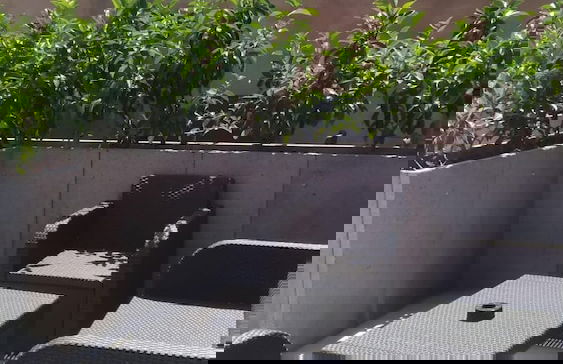 Cavanera Etnea Resort & Wine Experience - Foto 11