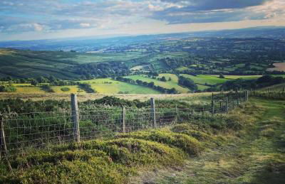 Burwarton cottage - Foto 8