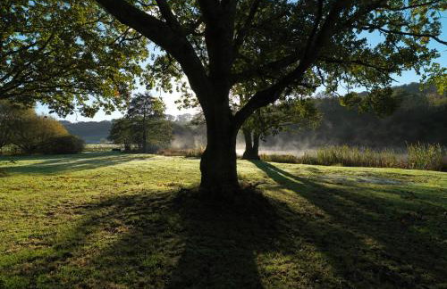 Plas Nanteos Mansion - Foto 6