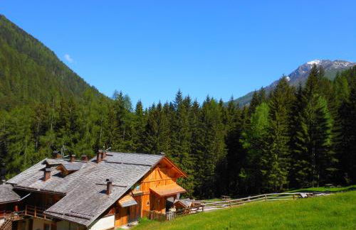 Maso Coler - Foto 45