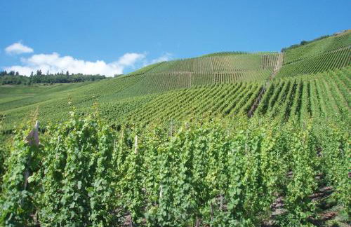 Romantischer Aufenthalt mit Blick auf den Weinberg - Foto 20