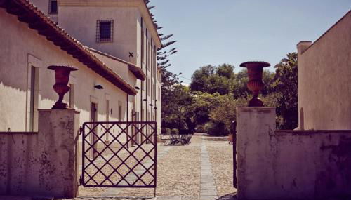 Azienda Agricola Mandranova - Foto 3, Garden, Garden view