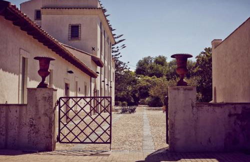 Azienda Agricola Mandranova - Foto 3