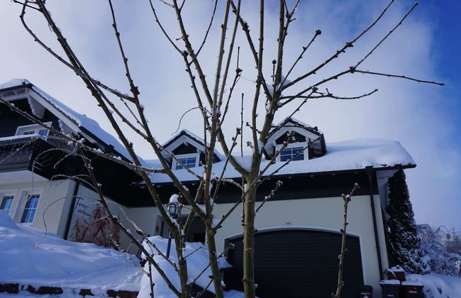 Fantastic Apartment in Frauenwald near Forest - Foto 33