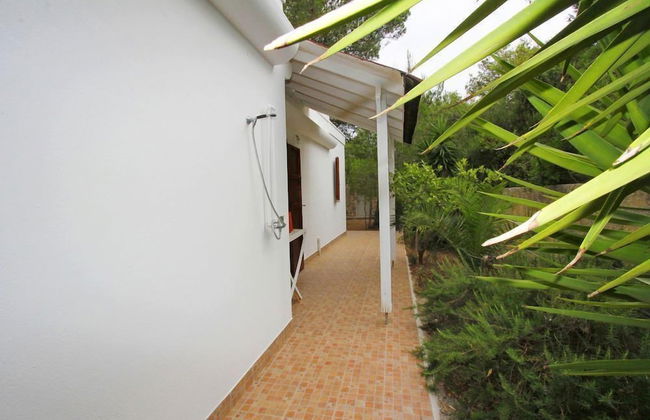 Tenuta la Saracina - Foto 72