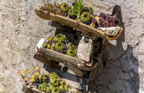 Casa Acqua - Happy Rentals - Foto 67