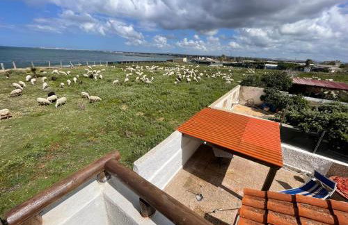 Casa al MARE CON SPLENDIDA VISTA SUL MARE - Foto 32