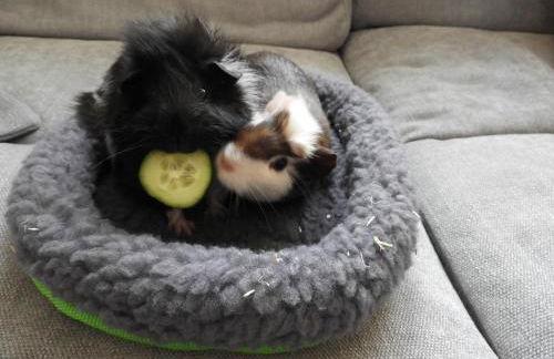 Ferienwohnung Ingrid - Foto 30