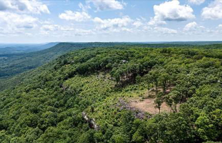 Peaceful Mountain Tiny Home with Breathtaking Valley Views & Fireplace Near Lookout Mountain, Menlo GA - Foto 30