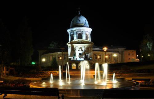 Zdrój Wojciech - Foto 44