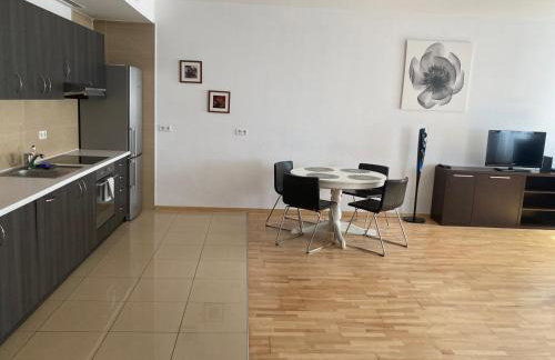 Platinum Towers Hotel Apartments with parking - Foto 15