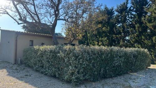 Maison provençale proche du lac - Foto 5