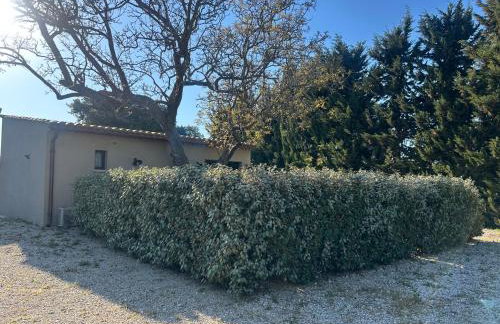 Maison provençale proche du lac - Foto 5