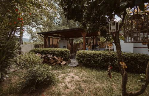 Casa Vacanze Rosy "Nel Verde" - Photo 13