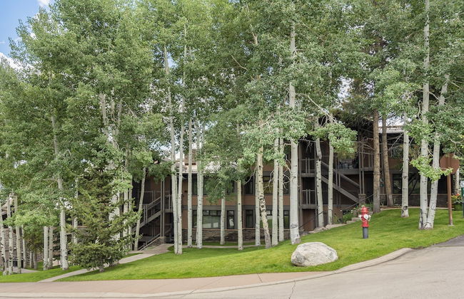 Aspenwood by Snowmass Vacations - Foto 56