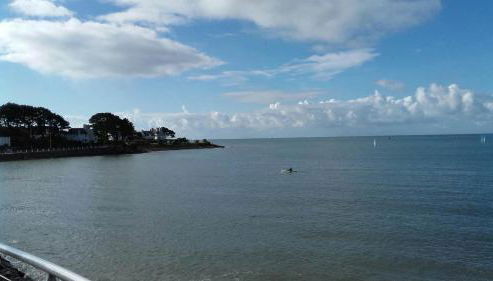 Les Hortensias - Foto 3