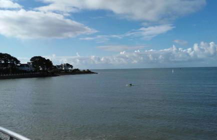 Les Hortensias - Foto 3