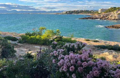 Sea View Apartment, spacious and renovated, 10 minutes to the beach, pool - Photo 24