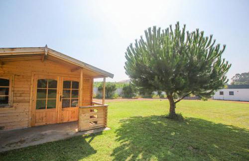 Quinta da Aldeia de Avanca - Foto 60