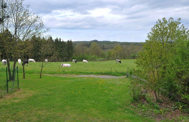 Inviting Holiday Home, Near Cave of Lorette, Namur and Parc Naturel Rgional des Ardennes - Foto 28