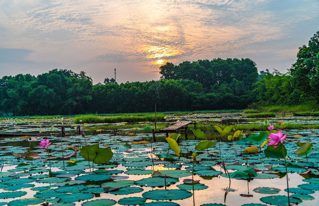 SƠN HOME GARDEN HUE - Foto 22