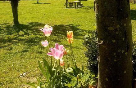 Villa La Pineta - Foto 35