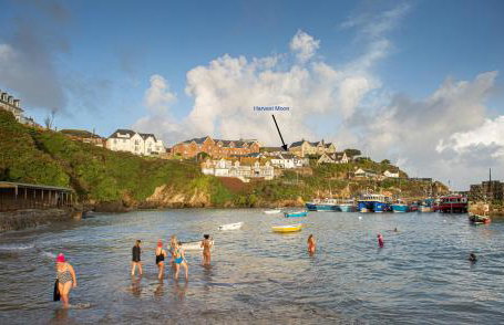 Harvest Moon - Foto 42