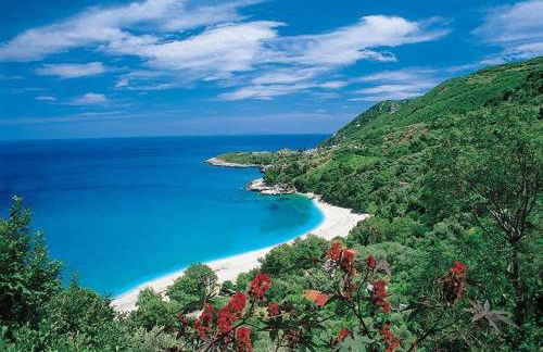 House of Gardenia - Foto 91