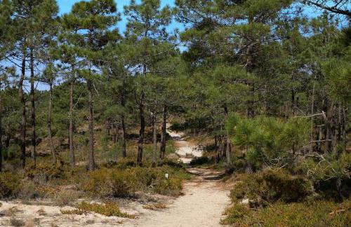 apart@CostaSantoAndré Beach - Foto 57