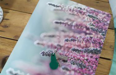 Mini Maison au Calme avec Coin Exterieur - Foto 11