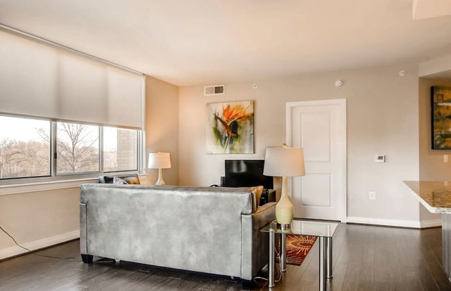 Bluebird Suites in Reston - Photo 29