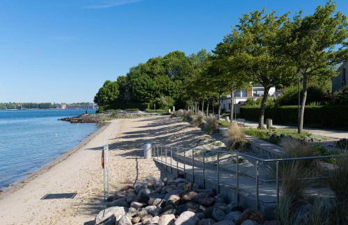 Dünengras - Foto 33