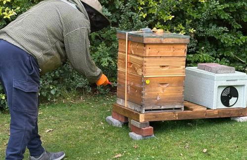 Drumfin Cottage - Foto 19