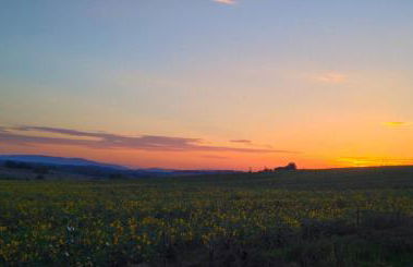 Fontegirasole - a Fontanaro Property - Foto 15