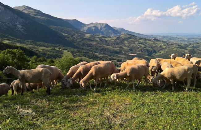 Spotlight Home of Corvara - Foto 37