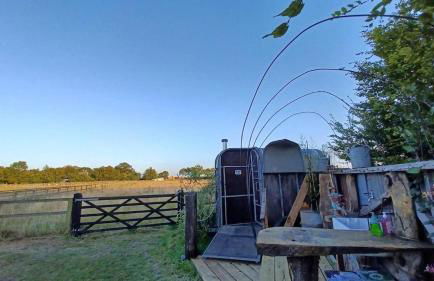 Little Lodge Glamping - Foto 56