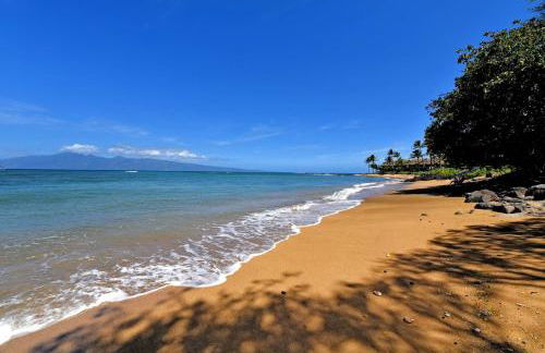 Amazing Sunsets Oceanfront Views - indigomaui - - Foto 1