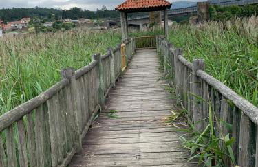 La tita vikinga - Foto 35