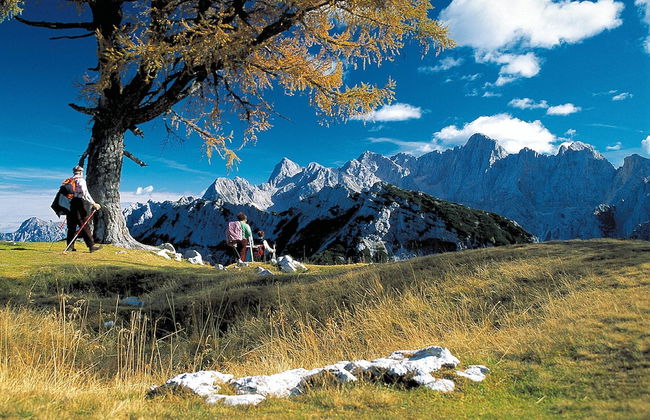 Kronau Chalet Resort - Foto 18