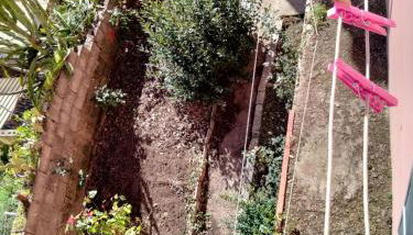 Granny's House - Foto 3, Garden