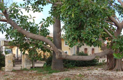 Il Giardino del sole - Foto 138