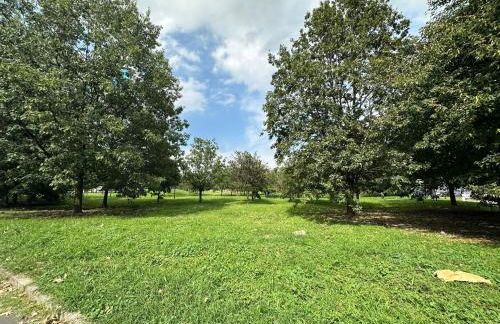 Alice sweet home - Foto 58