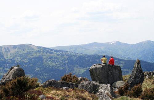 Chalet in Dabo near Castle Ruins - Photo 19