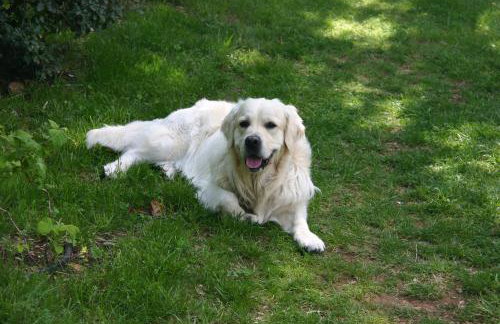 La Cabane Féerique Le Clos des Perles - Foto 24