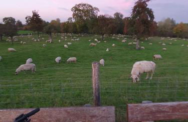 Ferienwohnung Niederrhein - Foto 22