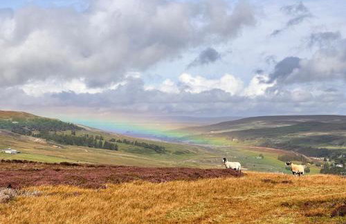 Galboly Cottage - Photo 35