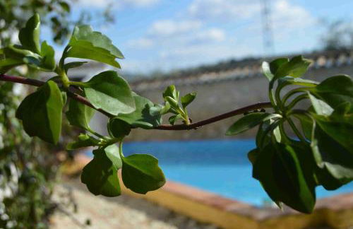 Cortijo Molino los Justos - Foto 43