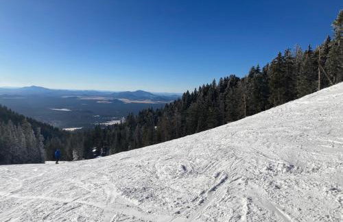 Change of Altitude 7320 - Foto 10