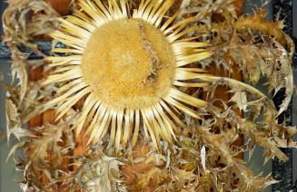 URAIN Suites - Apartments at Flysch-Coast - Photo 36