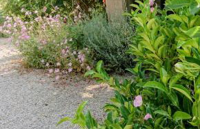 Evilion house inTholo. Sea, nature, relaxation! - Foto 55